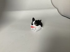 chubby puppies black and white