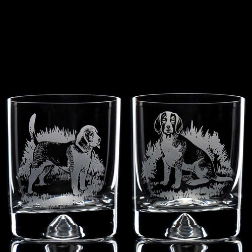 Beagle dog whiskey tumbler - dog,