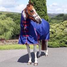 Ventomasta 200g Mediumweight