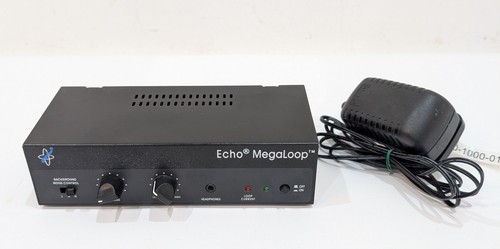 Echo megaloop induction - induction, loop