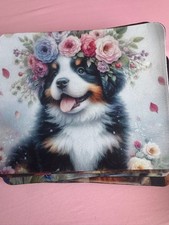 Beautiful Collie Pup With