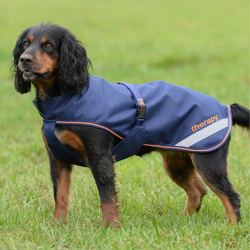 Bucas navy therapy dog - therapy,