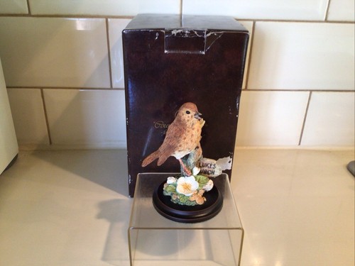 Country artists song - country, thrush