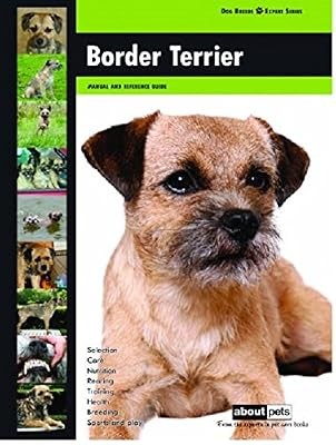 Border terrier dog breed - terrier:,