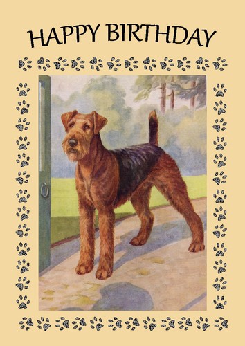 Airedale terrier dog - dog, birthday