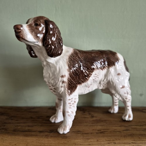 John beswick english springer - ,