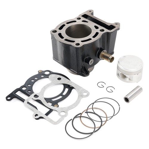 Cylinder piston gaskets kit - piston,