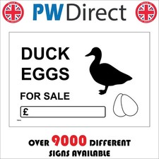 SIGN DUCK EGGS FOR SALE TR918