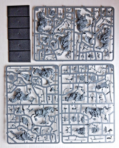 Warriors chaos - warriors,