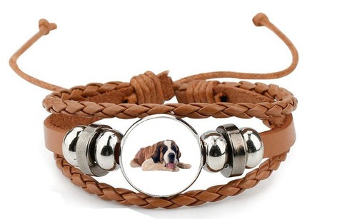 Bernard dog pet - st.,