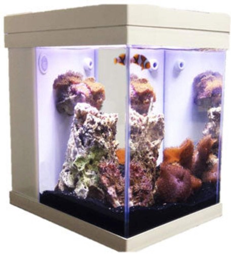 Jbj aquarium gallon cubey - aquarium,