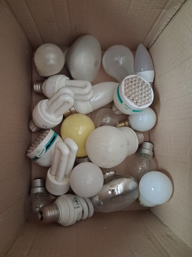 Various brands light bulbs