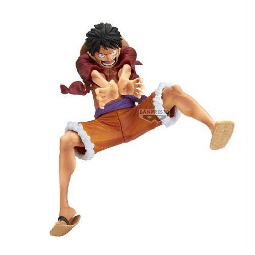 One piece monkey - monkey, d