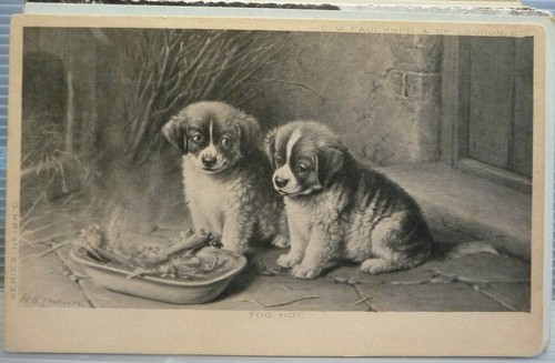 Pu01 0032 postcard - -,