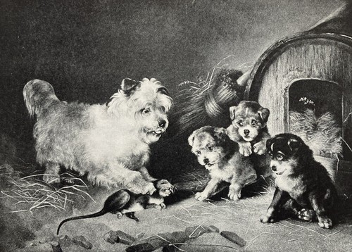 Antique lithograph print the - antique,