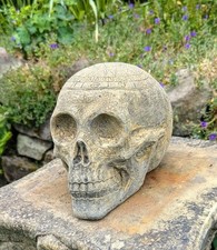 MEDIEVAL STYLE ZODIAC SKULL ORNAMENT IN ENGLISH STONE - DELIVERY IS AVAILABLE 