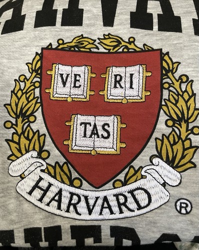 Harvard university sweater - harvard,