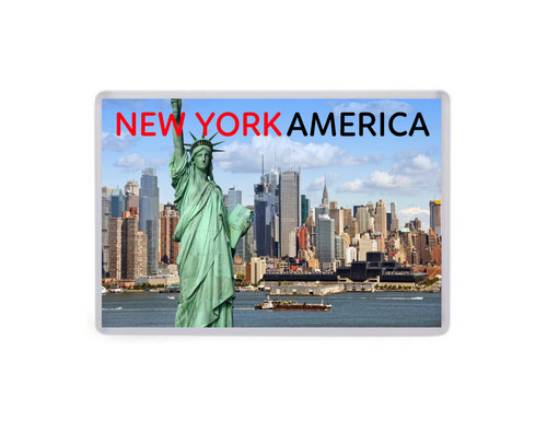 New york fridge - york, america