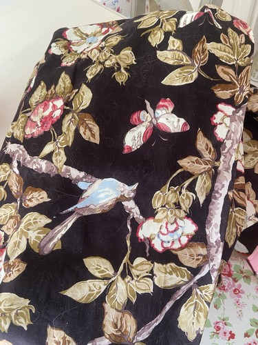 Sanderson next bird - by,