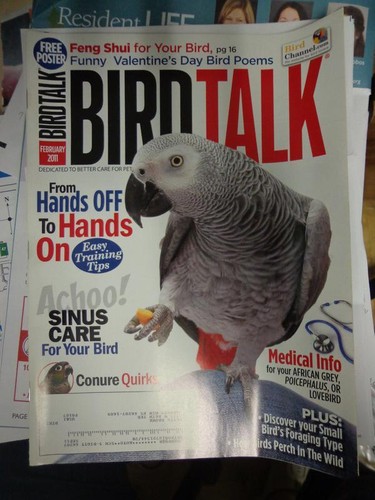 Bird talk magazine - magazine, 11