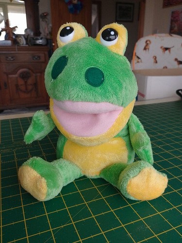 Singing frog hand puppet - puppet, toys
