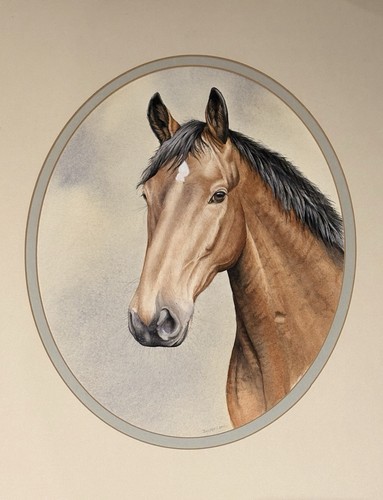 Vintage horse head - vintage, horse’s