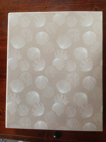 Job lot shells grey - job,