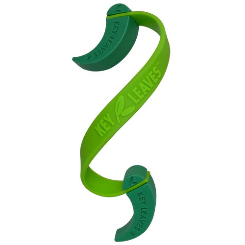 Key leaves sax - key,