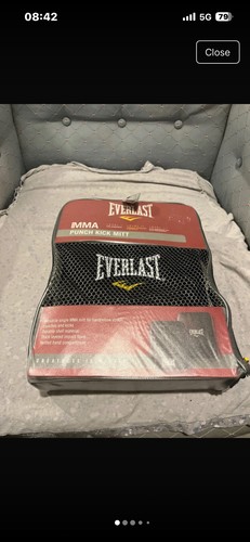 Everlast level mma punch - everlast,