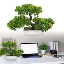 Simulation Bonsai Artificial