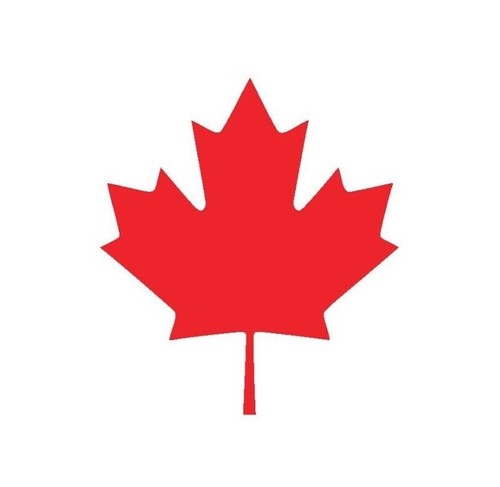 Canadian maple vinyl - maple,