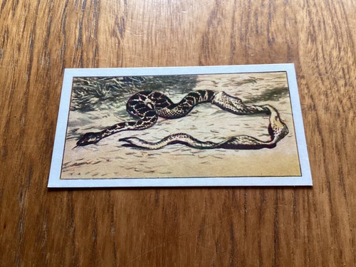 1965 regent oil card do - -, you