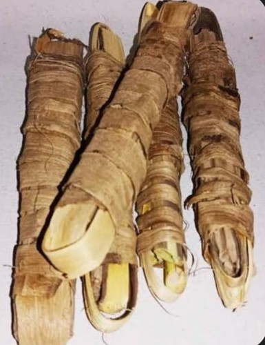 Natural moroccan siwak - x,