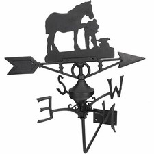 Horse mare farrier weather - horse,