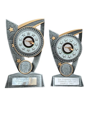 Pistol target shooting - shooting, award