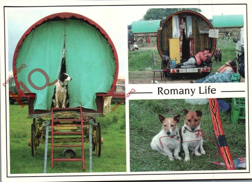 Picture postcard romany - postcard:-romany, life