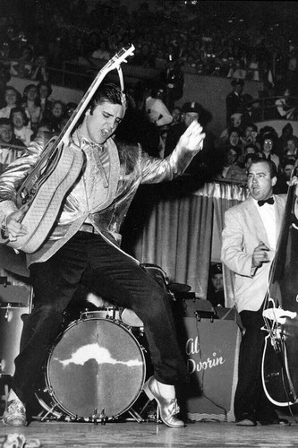 Elvis presley concert - in, 4x6