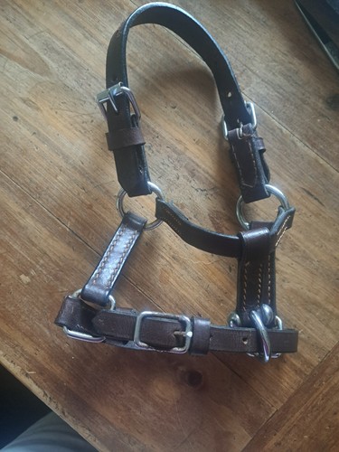 Miniature leather headcollar - leather,
