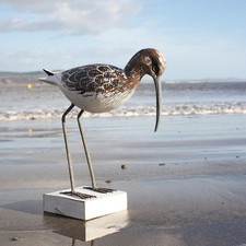 Curlew Bird Standing | Wooden