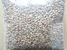 WHOLE WHEAT BRITISH GROWN