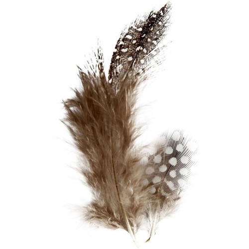 Creativ company guinea fowl - company,