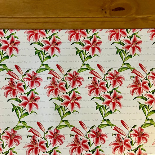 Stargazer lily gift wrap - gift,