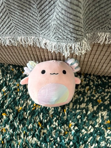 Axolotl squishmallow 13cm - axolotl, squishmallow,