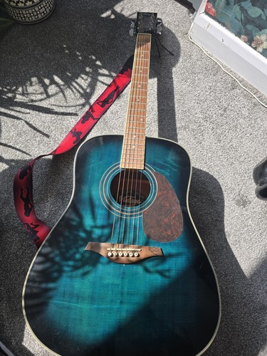 Vintage brand v400bl acoustic - brand,