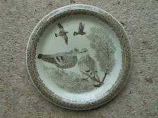 Thomas Germany china bird wall