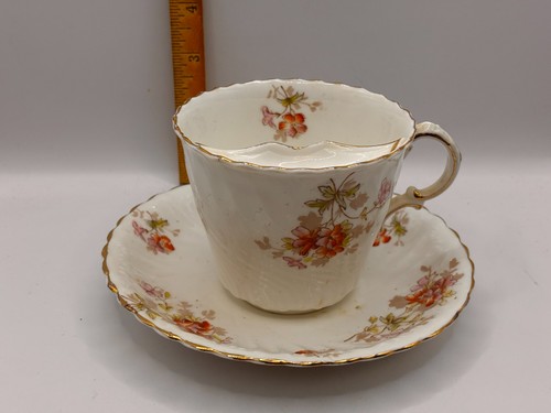 Suspected wedgewood antique - suspected,