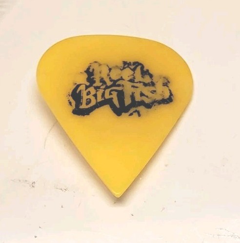 Reel big fish guitar - reel, pick