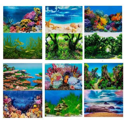 Aquarium fish tank background - fish,