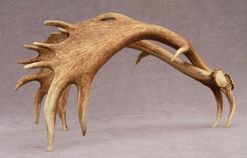 Naturally shed set fallow - naturally,