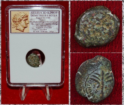Ancient greek coin seleucid - greek,